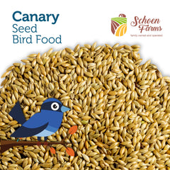 Schoen Farms Canary Seed Alpiste 5lbs bird usage in a feeder demonstrates accessibility.