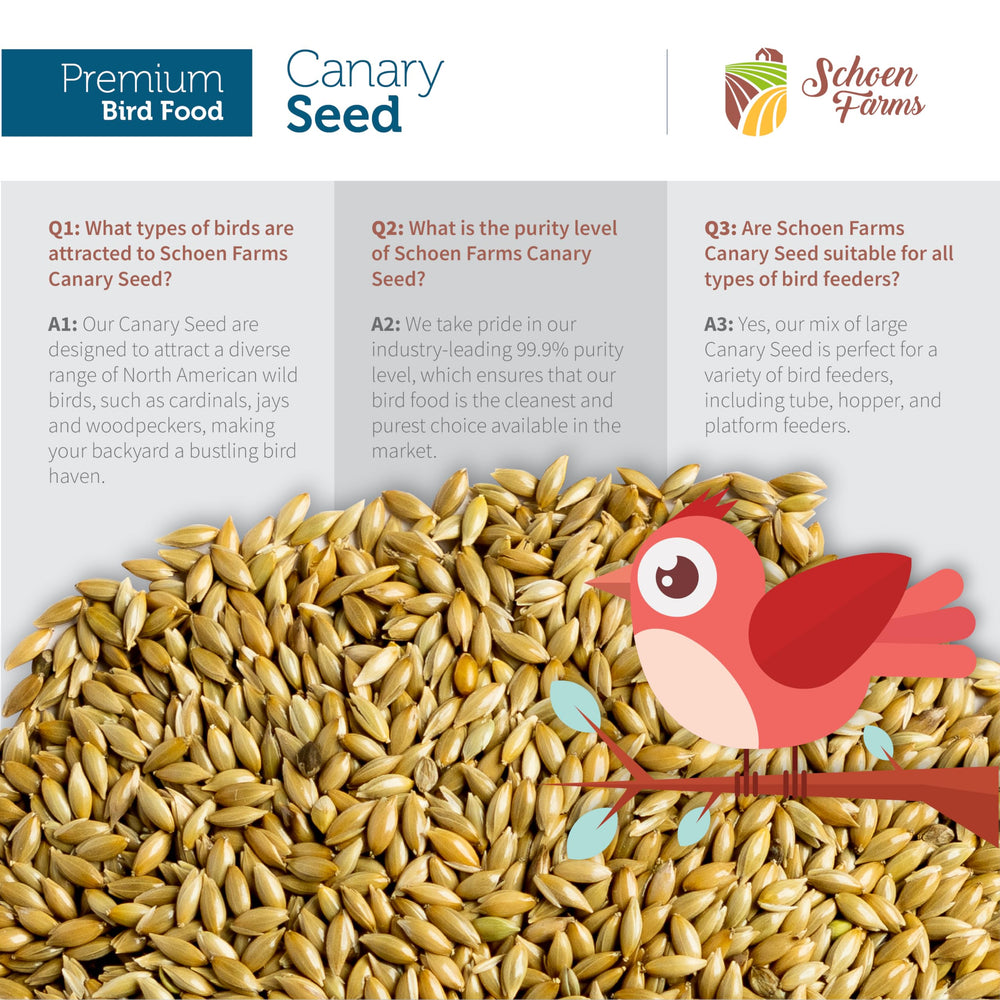 Schoen Farms Canary Seed Alpiste 5lbs family farm label reinforces trusted origin.