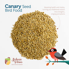 Schoen Farms Canary Seed Alpiste 5lbs seed closeup shows rich texture and quality.