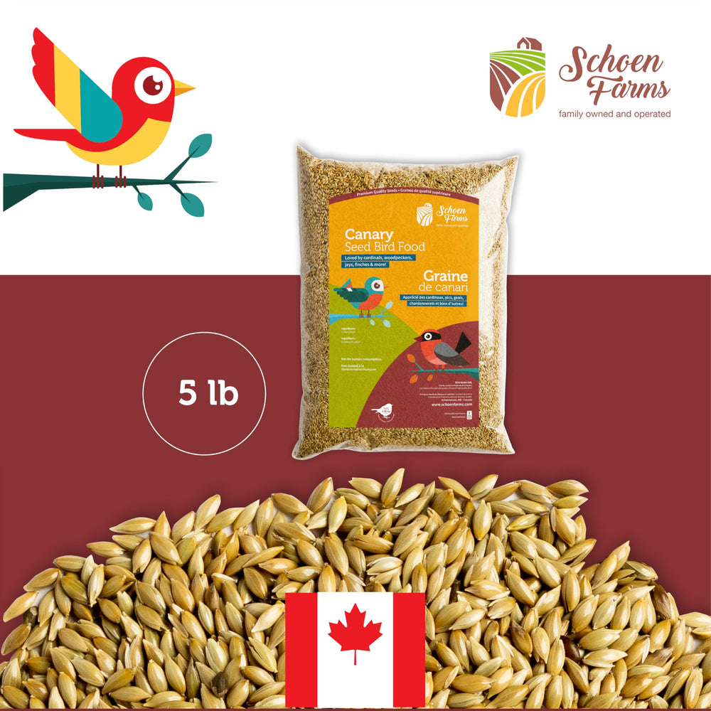 Schoen Farms Canary Seed Alpiste 5lbs storage container emphasizes freshness and ease.