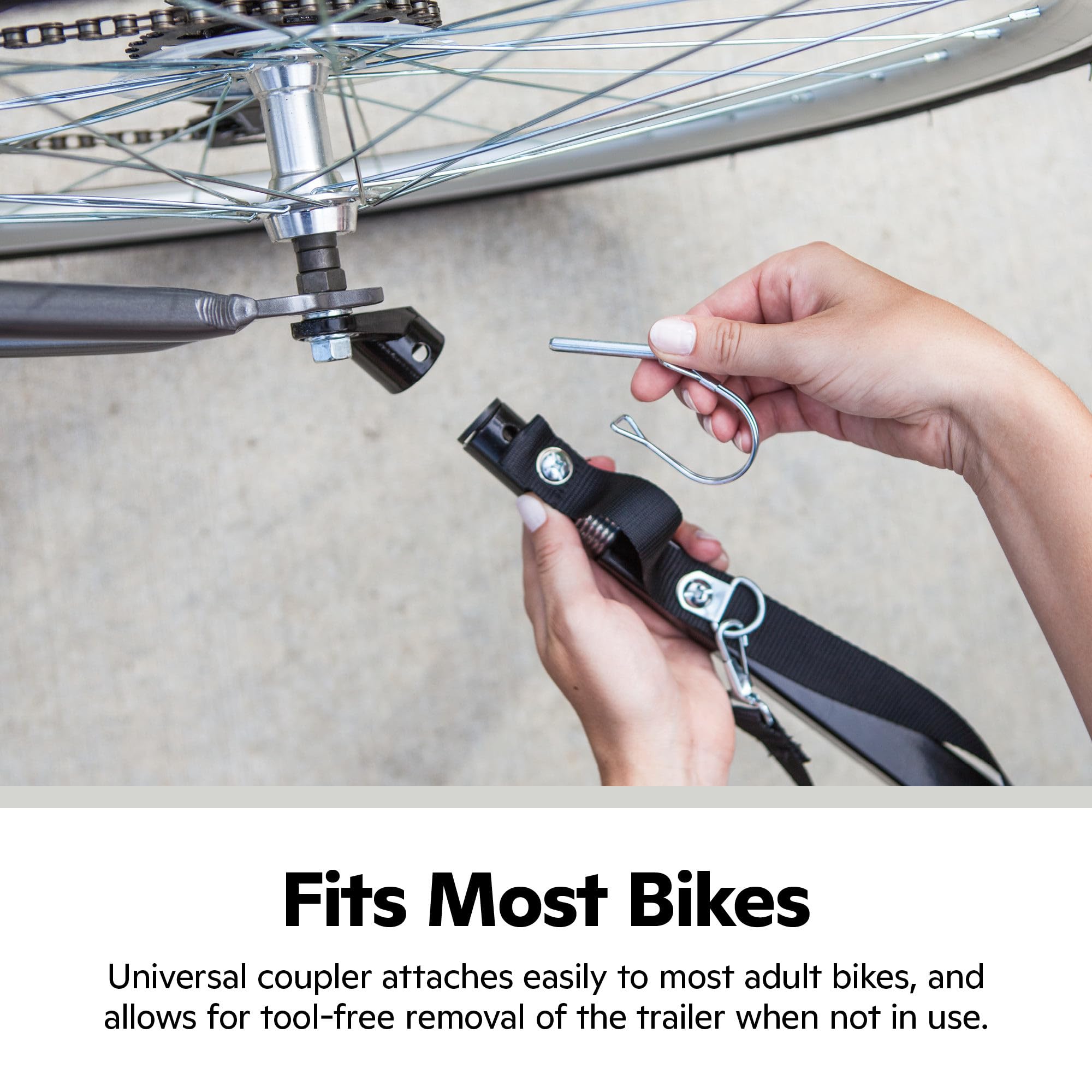 Schwinn Rascal rear doggy door enables easy pet in and out.
