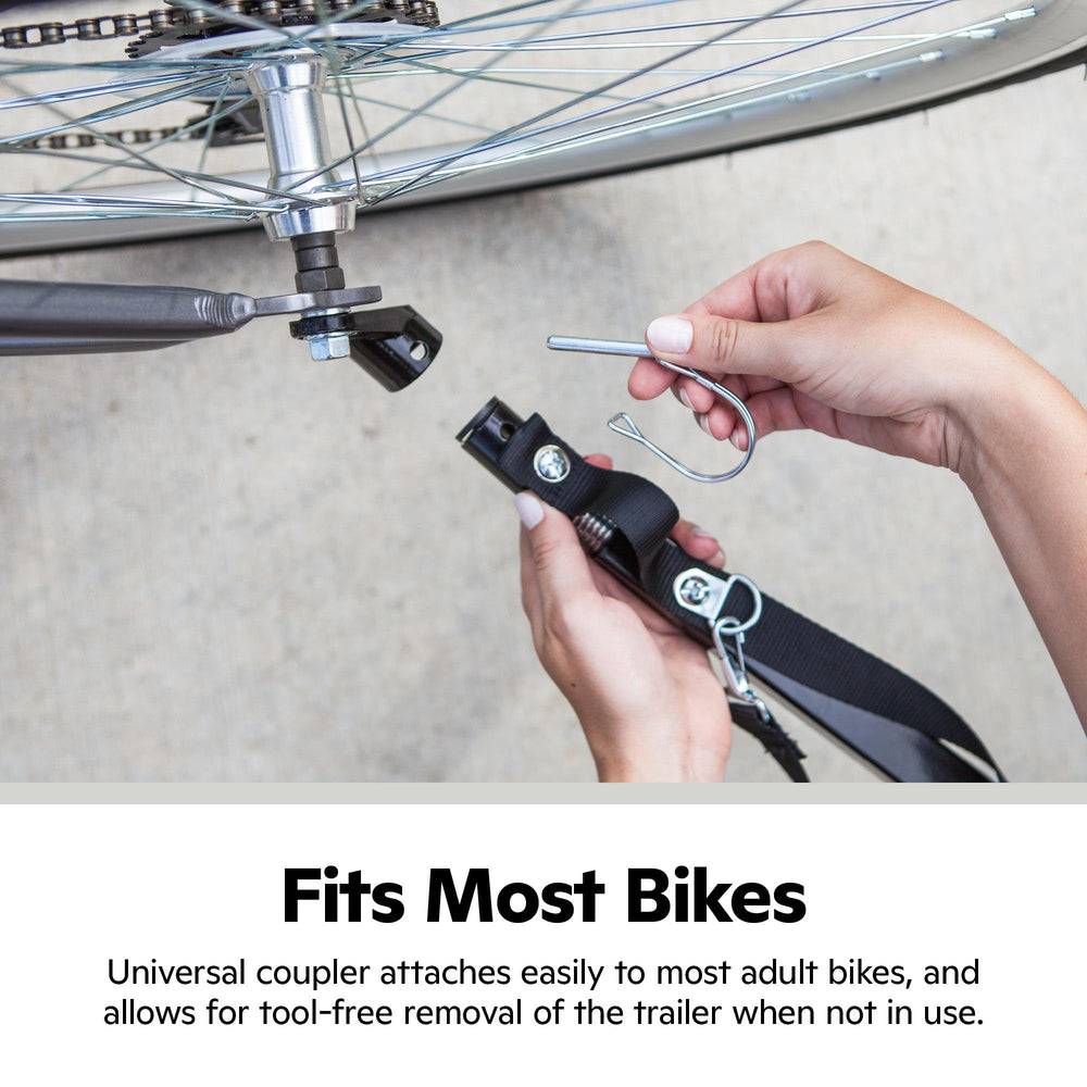 Schwinn Rascal rear doggy door enables easy pet in and out.