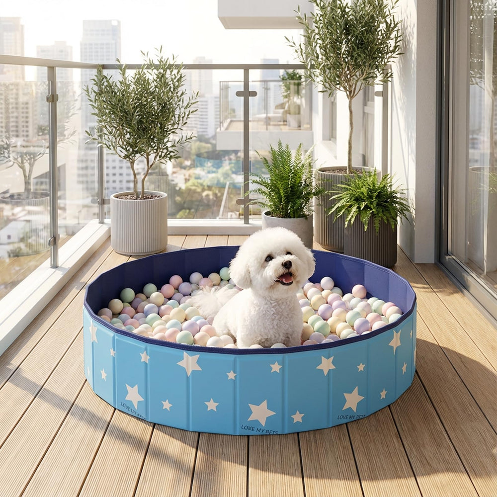 SCLWSS blue pit note: balls not included; customize with your own toy balls.