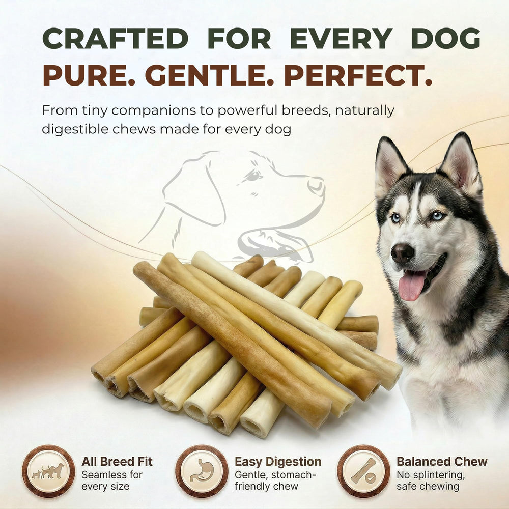 Scooby Cheww Dental health texture helps clean teeth and gums.
