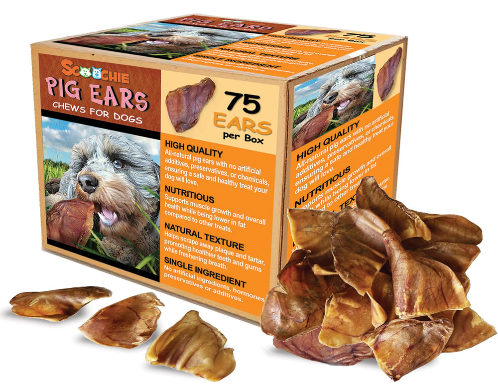 Scoochie Pet Brazilian Pig Ears pack, a natural long-lasting chew for dogs.