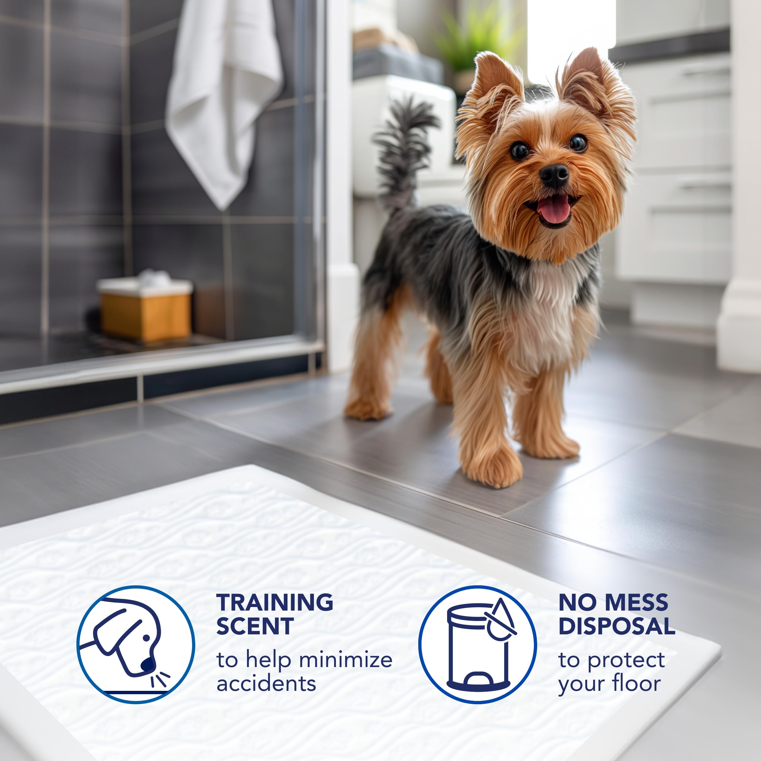 Scott Pet Guard Dog Pads 22-by-22 water-resistant-backing shields floors from spills