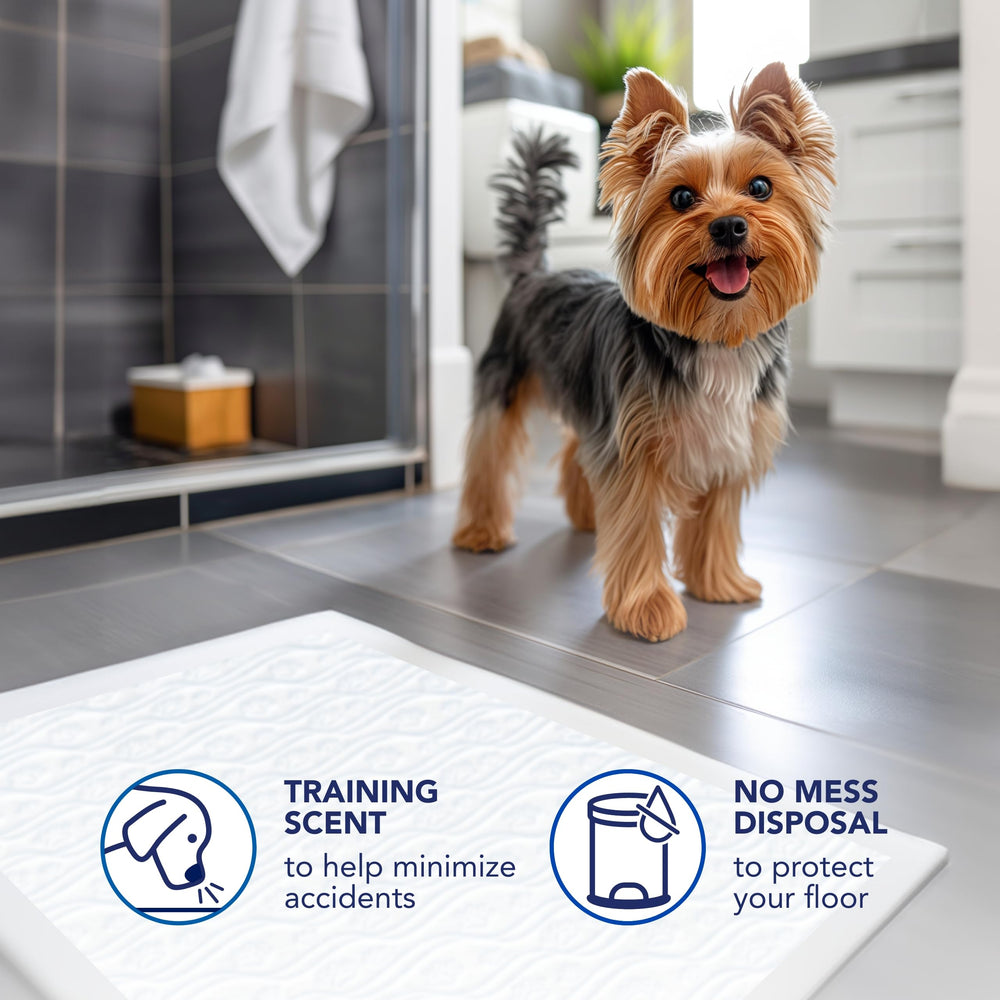 Scott Pet Guard Dog Pads 22-by-22 water-resistant-backing shields floors from spills