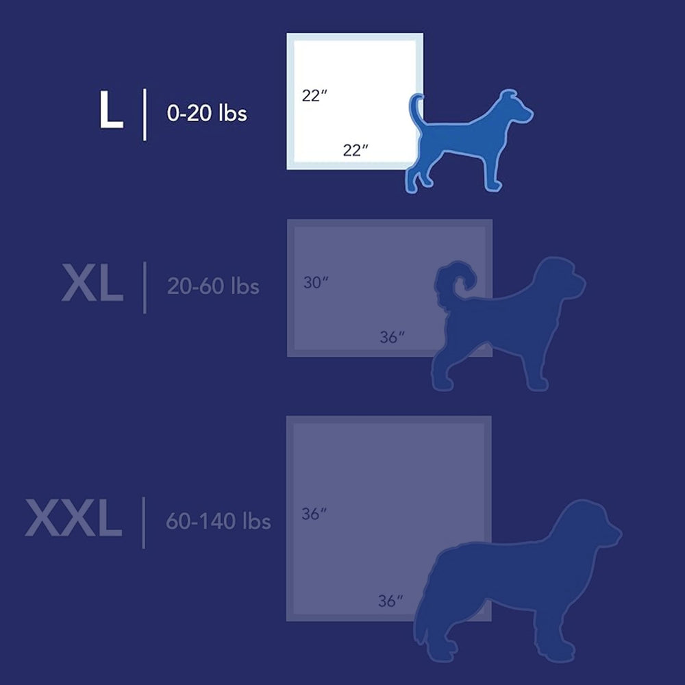 Scott Pet Guard Dog Pads sizes guide with Large, XL and XXL options