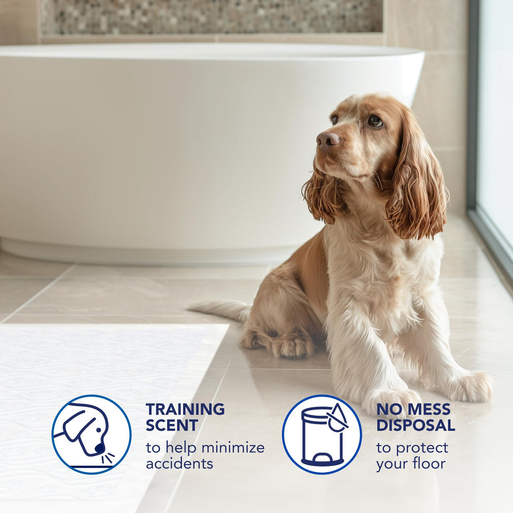 Scott Pet Guard XL pad provides multi layer protection for busy homes.