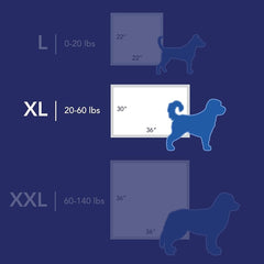 Scott Pet Guard absorbent-core close-up highlights moisture lock for leaks.