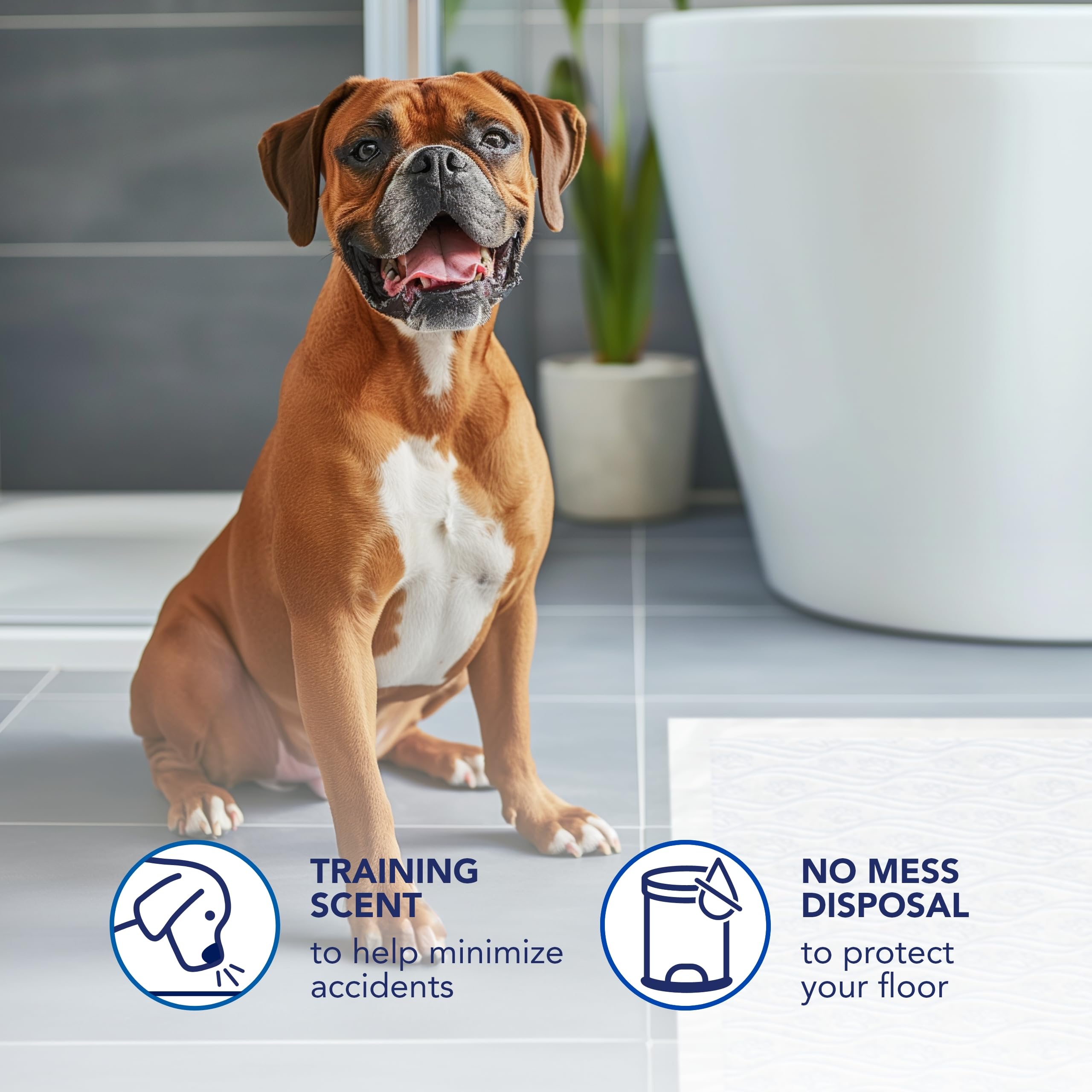 Scott Pet Guard Dog Pads XXL multi-layer construction protects floors and furniture