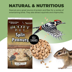 Scott Pet Pour-&-Lok bag preserves freshness for consistent backyard feeding.