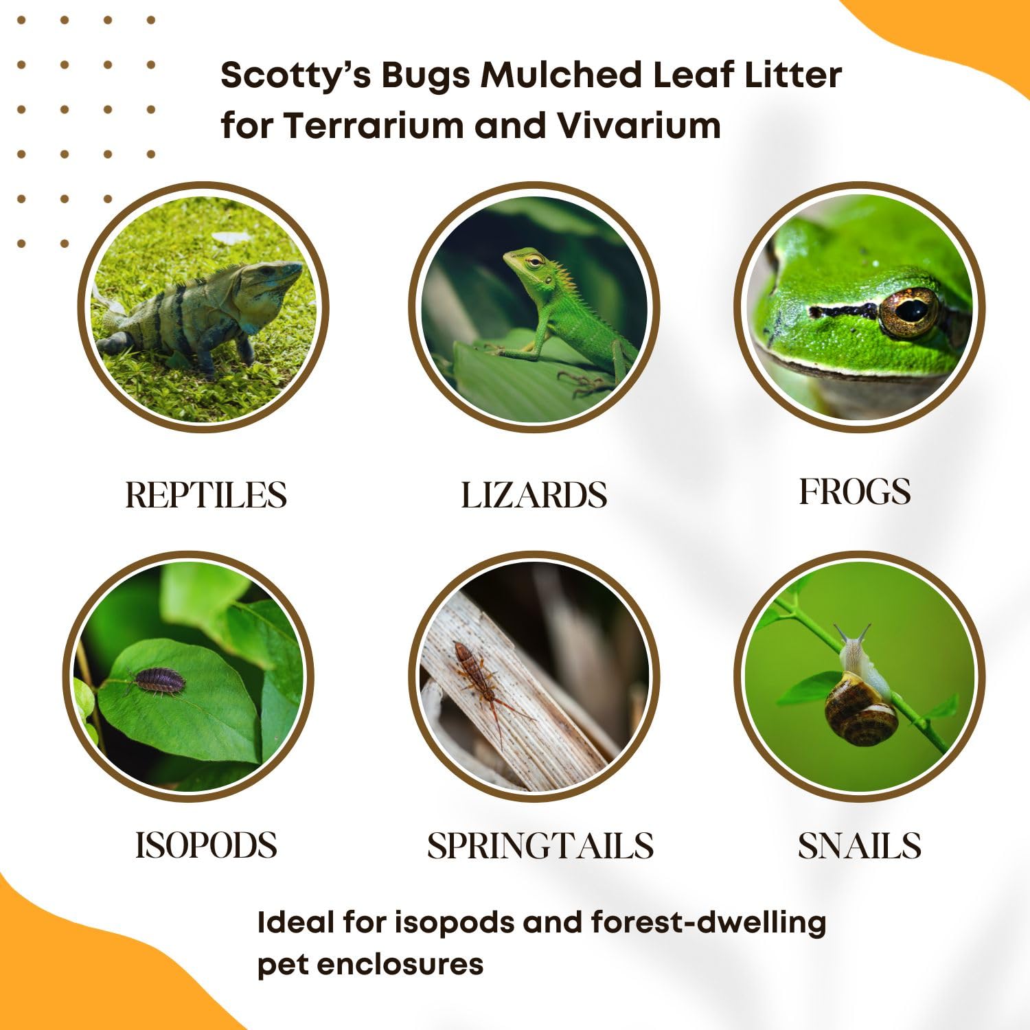 SCOTTY'S BUGS leaf-litter-detritivore-habitat fosters shelter for isopods and springtails.