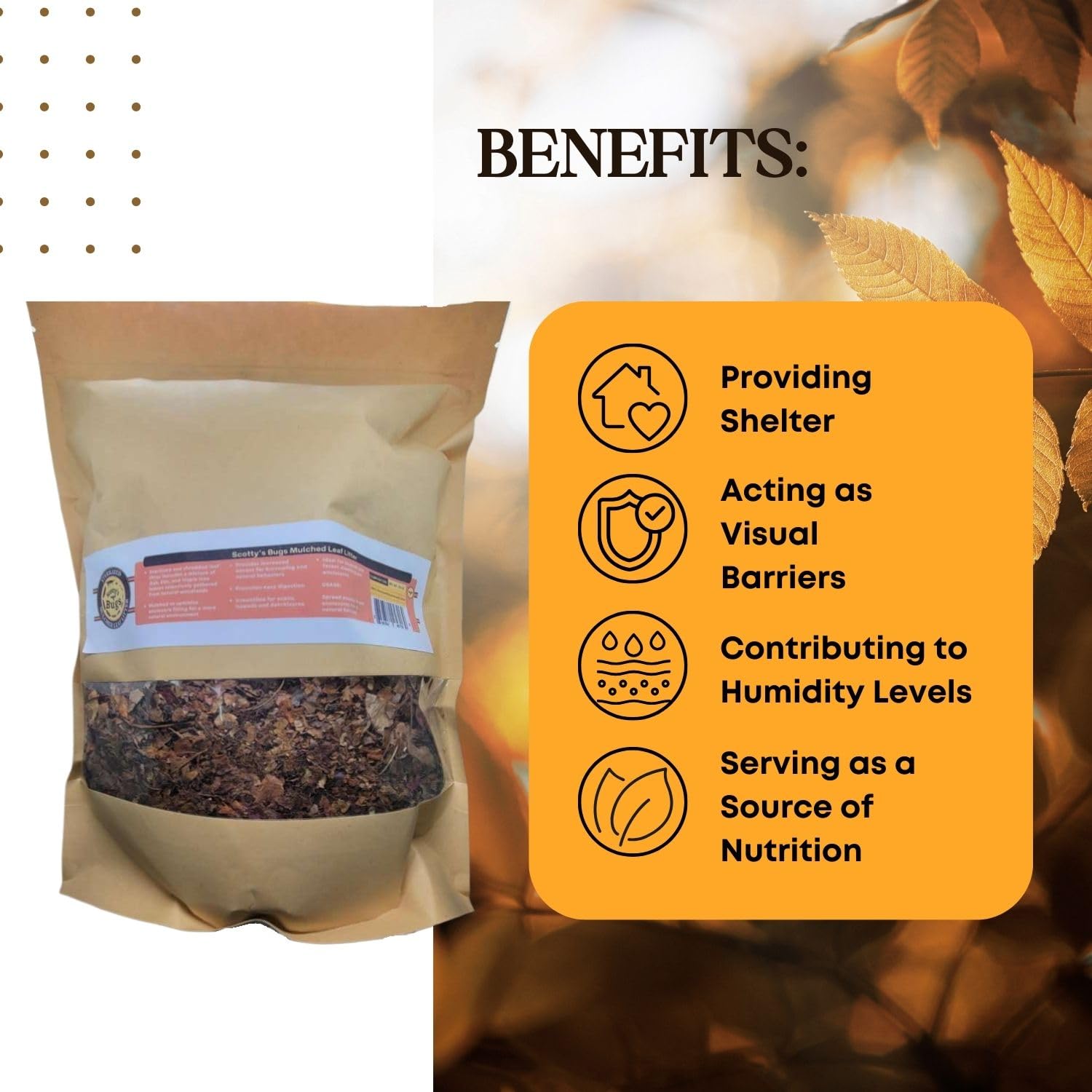 SCOTTY'S BUGS leaf-litter-humidity-stable substrate helps maintain balanced terrarium moisture.