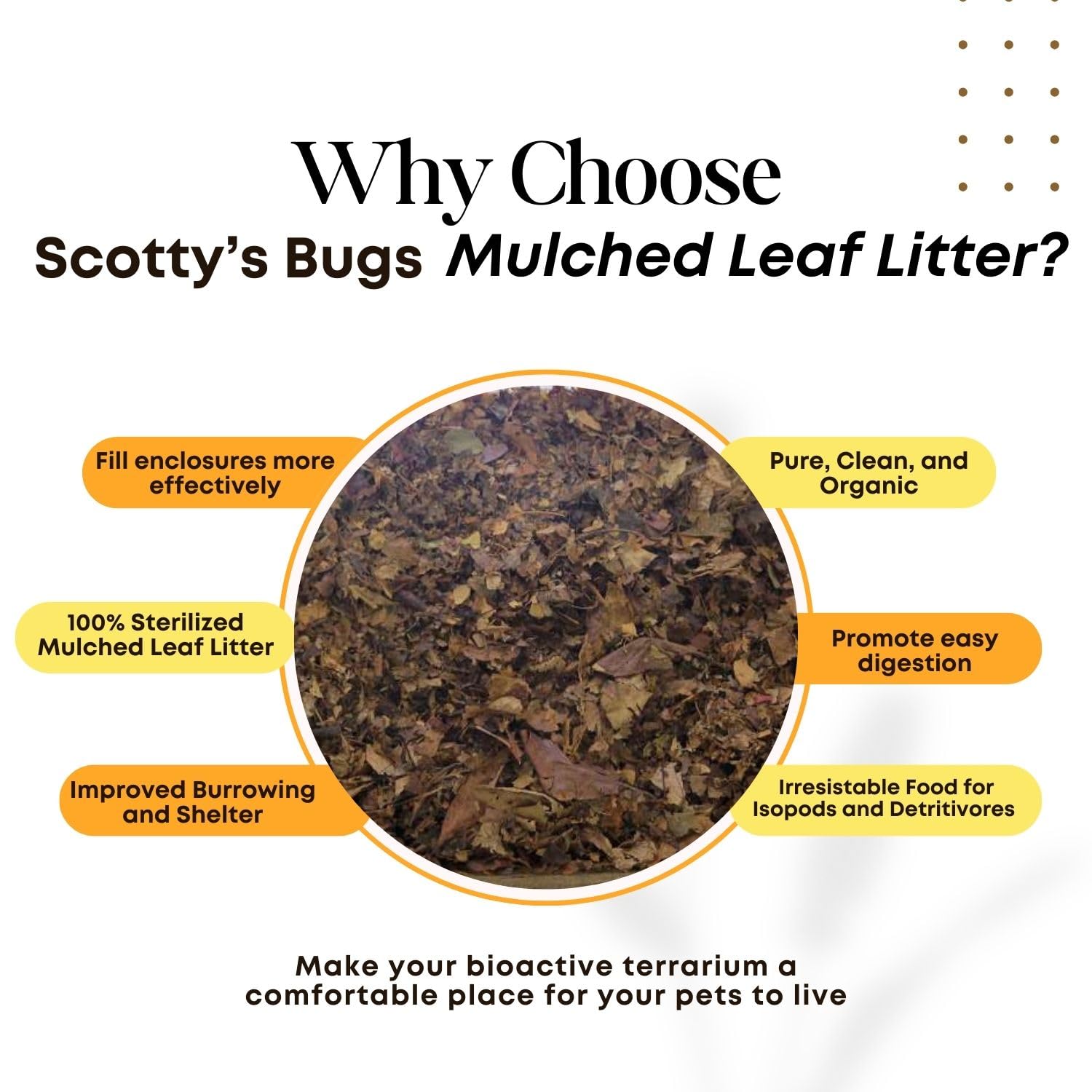 SCOTTY'S BUGS leaf-litter-terrarium-bottom creates realistic feeding and hiding areas in tanks.
