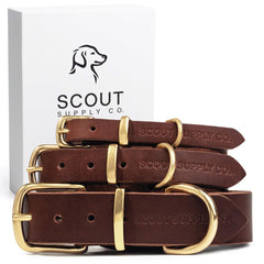 Scout Supply Co. classic leather collar close-up showing durable full-grain leather for daily wear.
