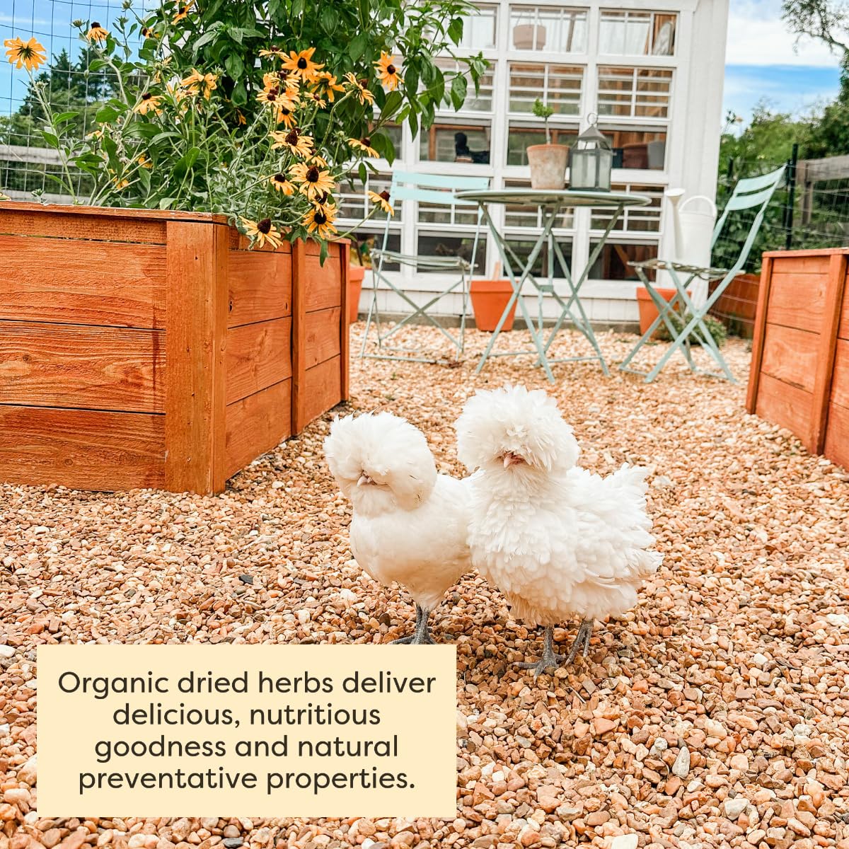 Scratch and Peck recyclable packaging for sustainable poultry feeding.