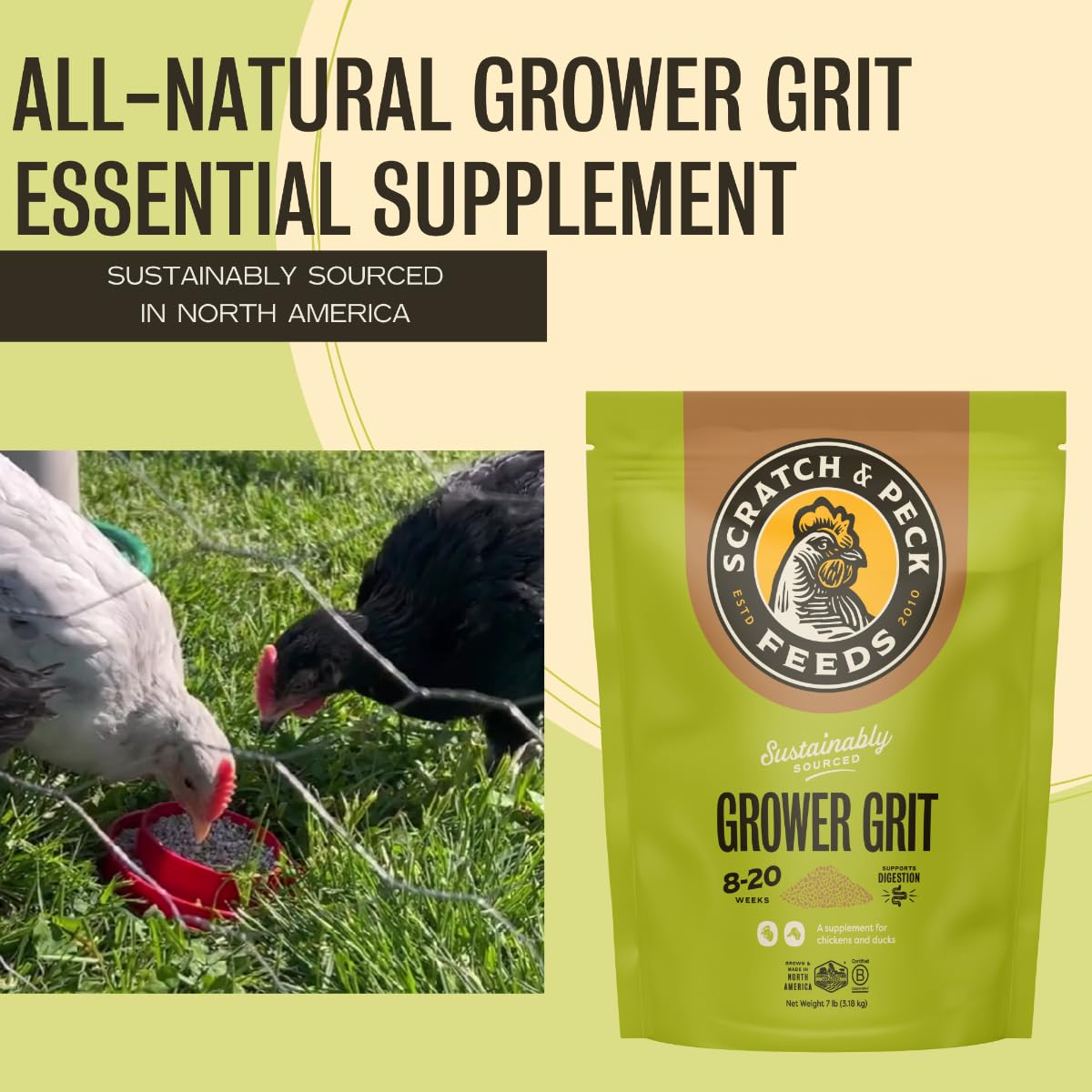 Coop station with Scratch and Peck Grower Grit promotes gizzard health.