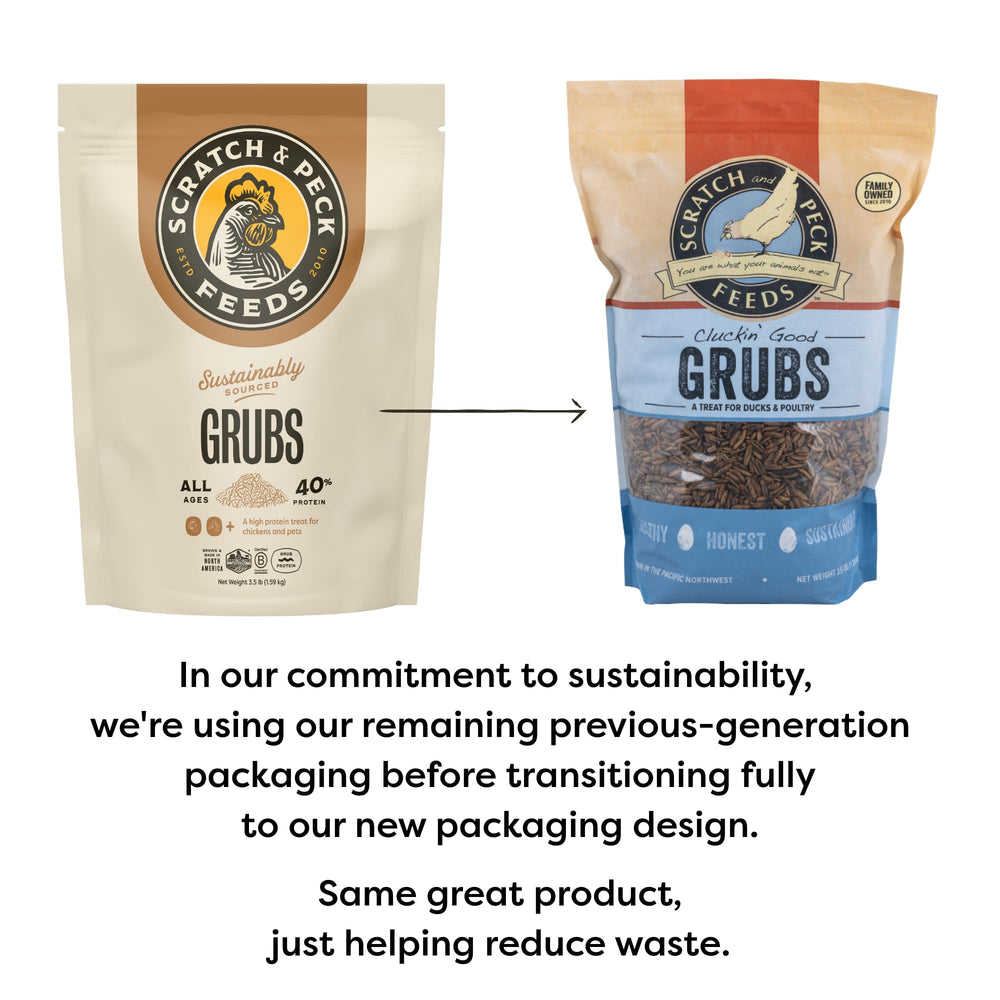 Scratch and Peck Grubs close-up showing protein-dense texture for healthy plumage.
