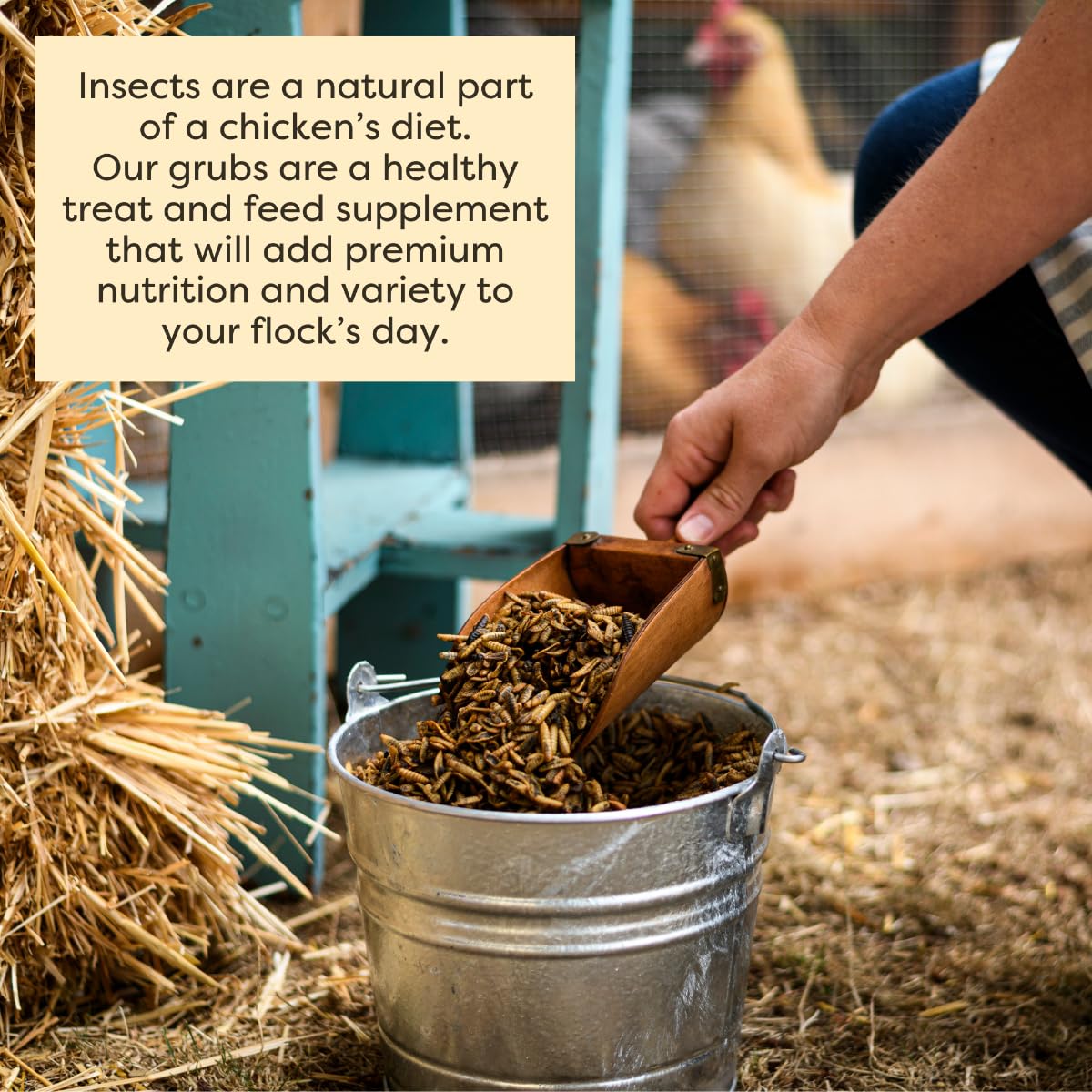 Scratch and Peck Grubs packaging highlights upcycled waste origin.