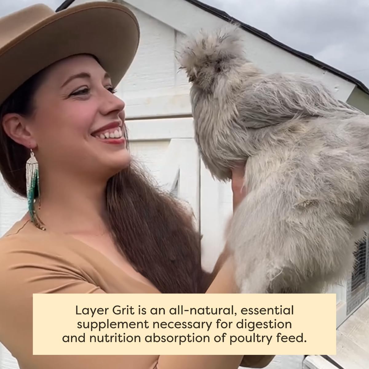 Scratch and Peck Layer Grit chickens digesting grain with gizzard support