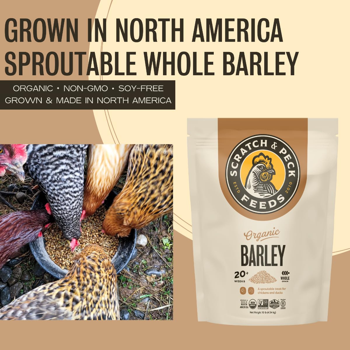 Scratch and Peck Organic and Non-GMO certification seal indicating quality.