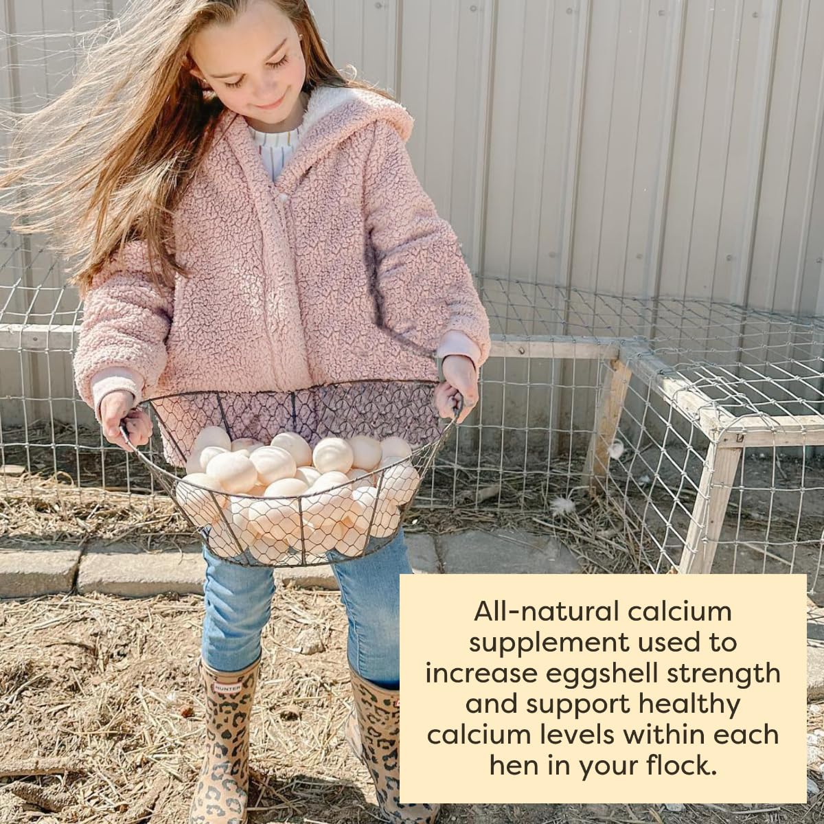 Scratch and Peck Oyster Shell Supplement chickens-ducks coop scene demonstrates everyday use.