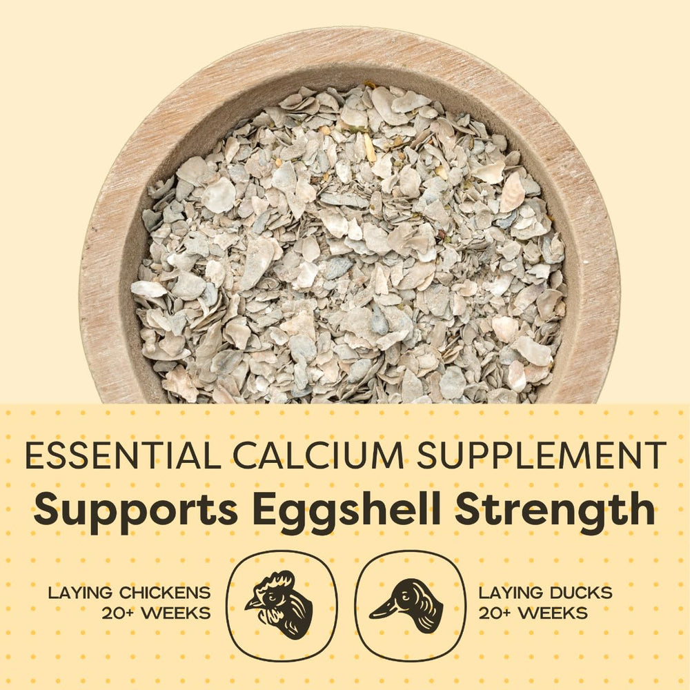 Scratch and Peck Oyster Shell Supplement Pacific Northwest-sourced ingredients emphasize local sustainability.