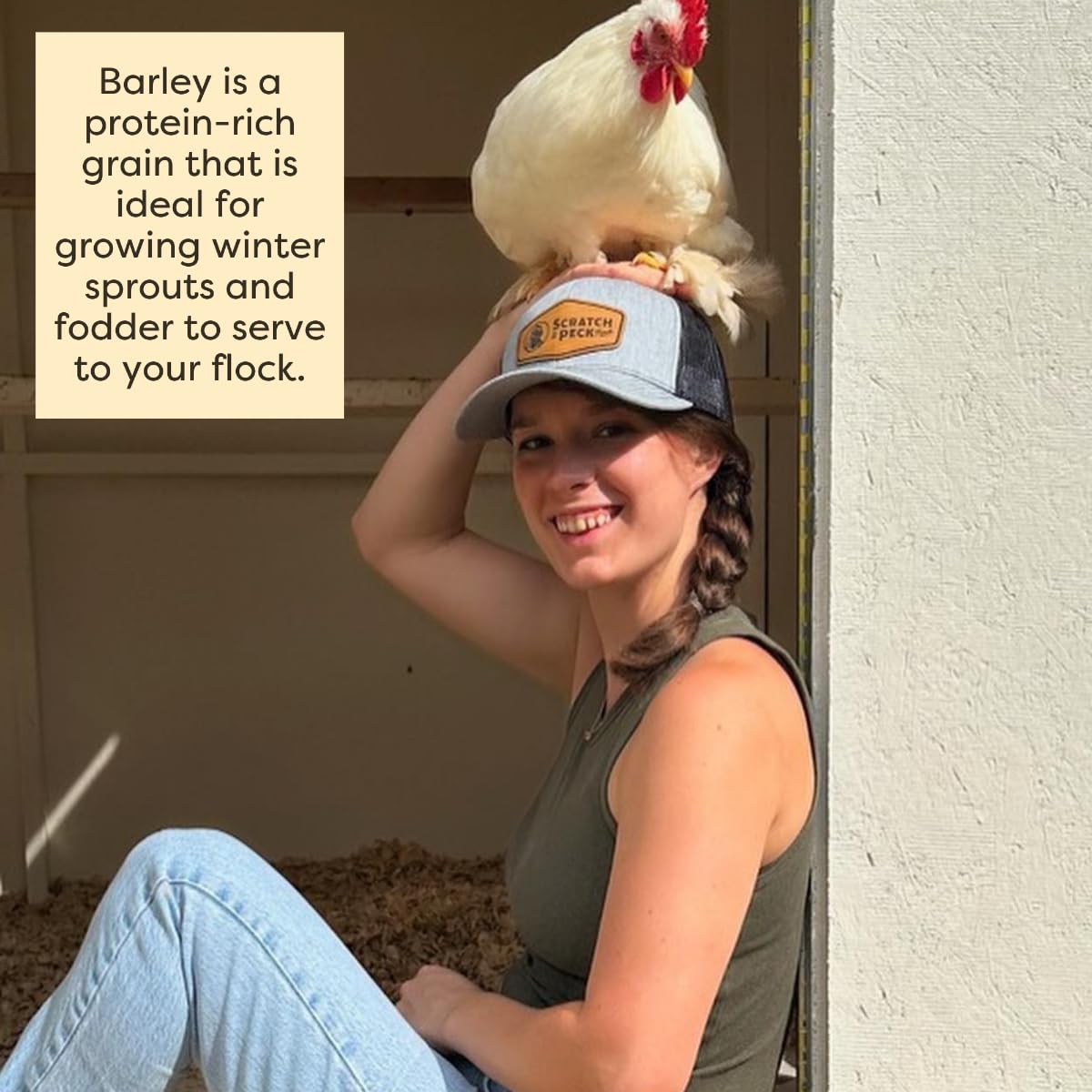 Scratch and Peck raw, unprocessed barley preserves natural nutrients.