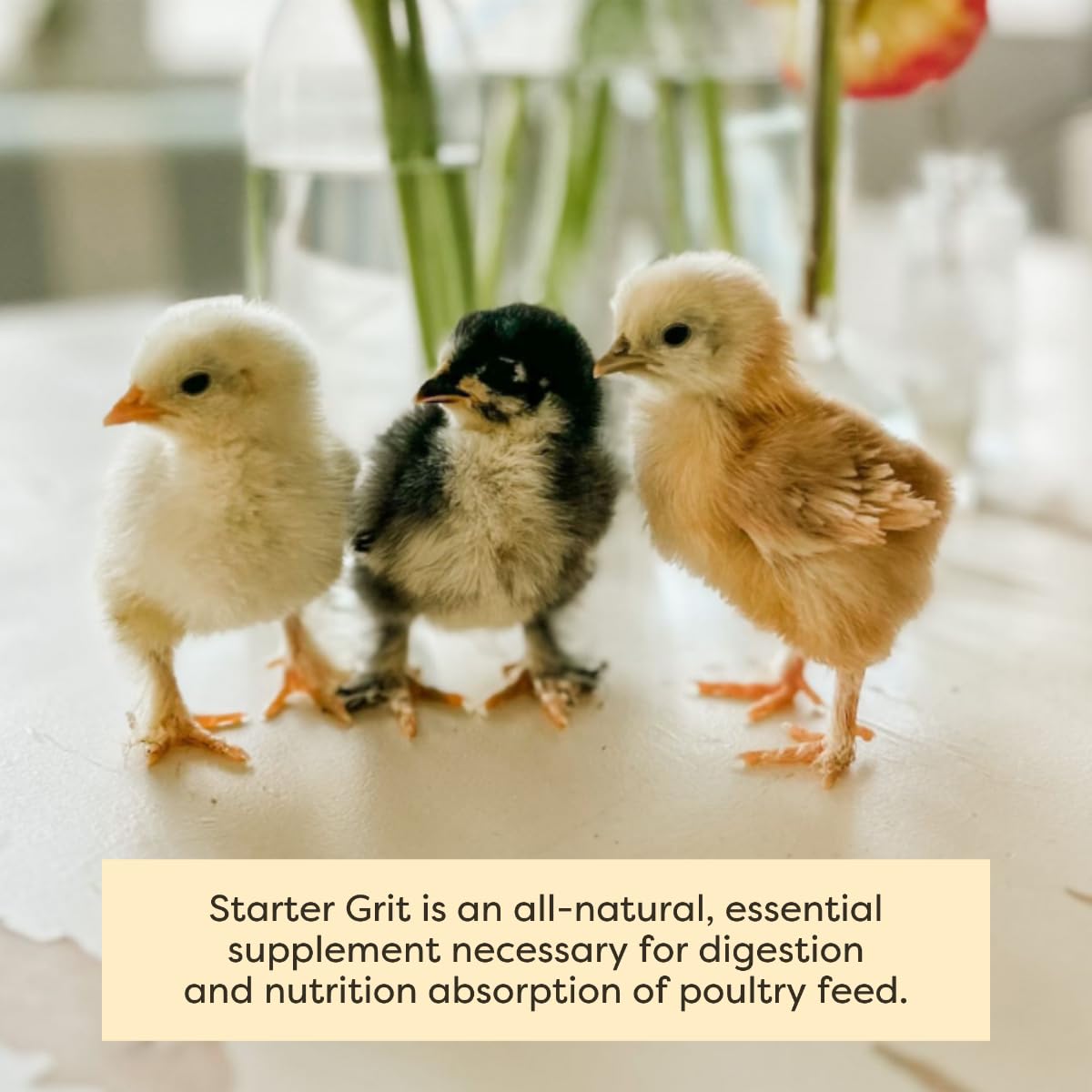Scratch and Peck Starter Grit packaging-sustainability signals responsible sourcing.