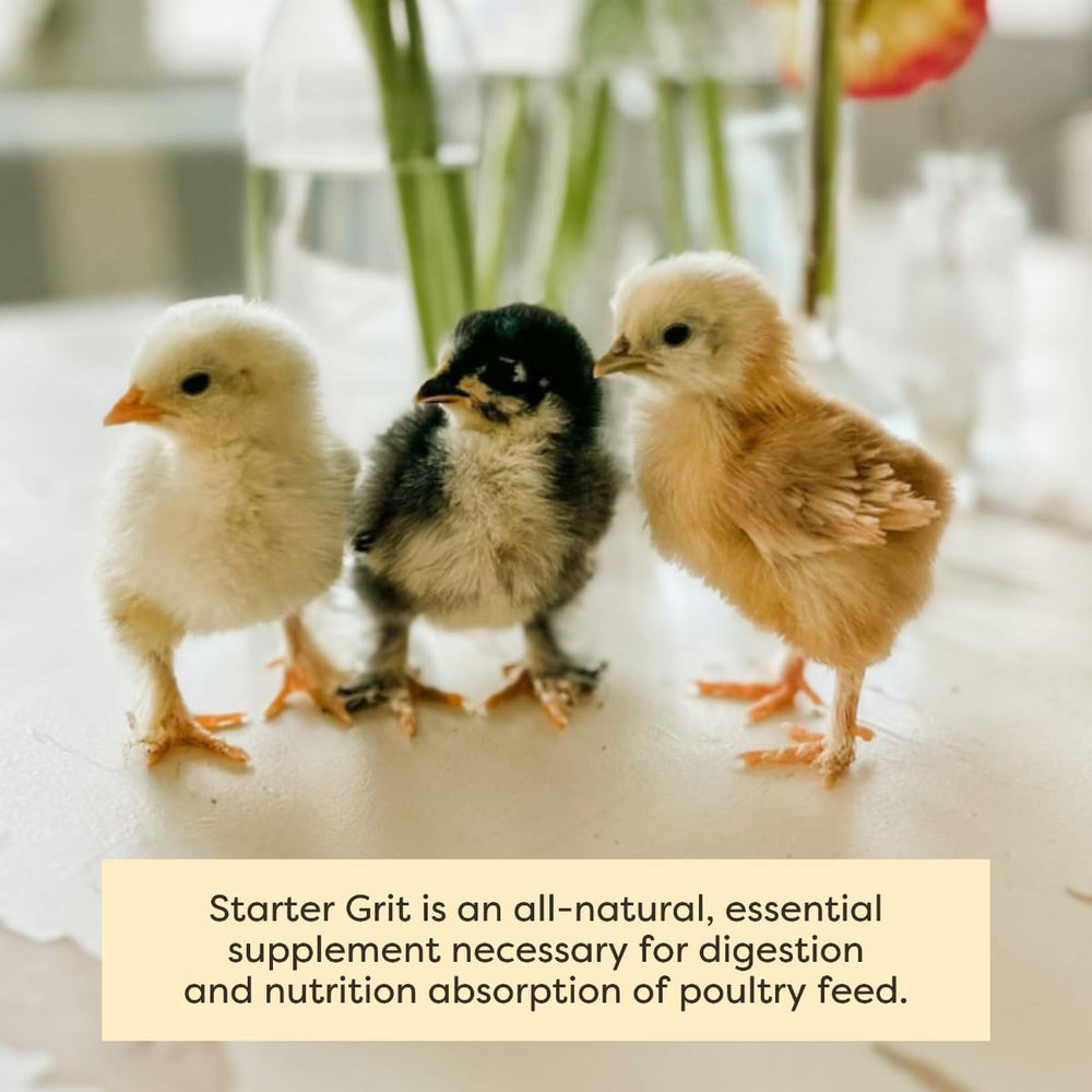 Scratch and Peck Starter Grit packaging-sustainability signals responsible sourcing.