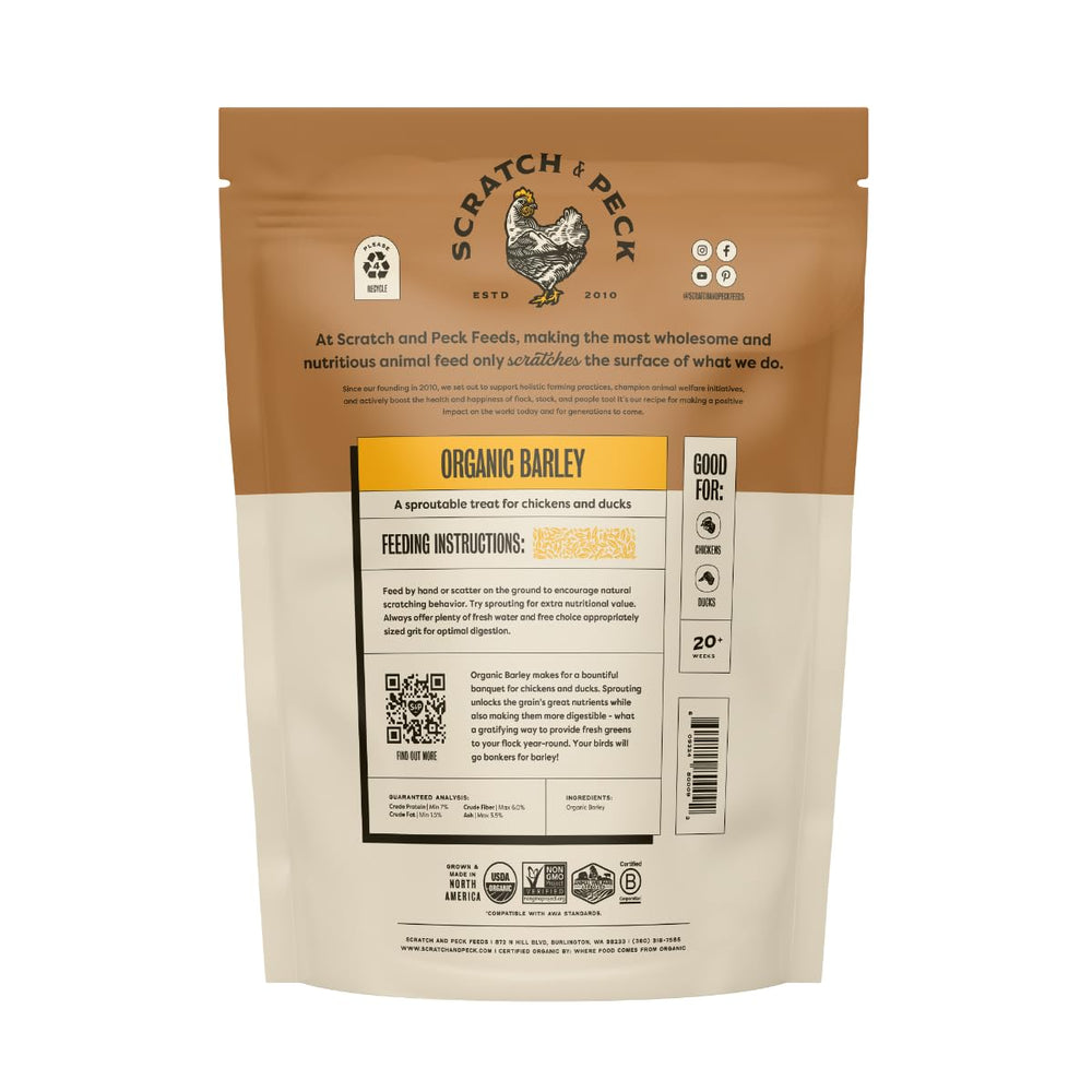 Scratch and Peck Whole Barley in a feed bowl supports balanced poultry nutrition.