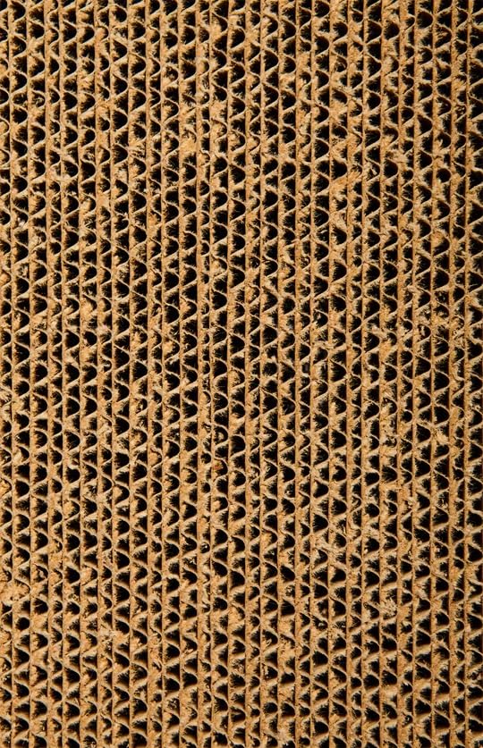 Scratch Lounge XL cardboard lounge pad included for added comfort and quick replacement