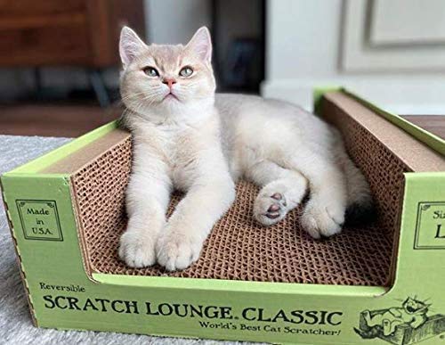 Scratch Lounge XL durable eco-friendly cardboard, recyclable and safe for homes