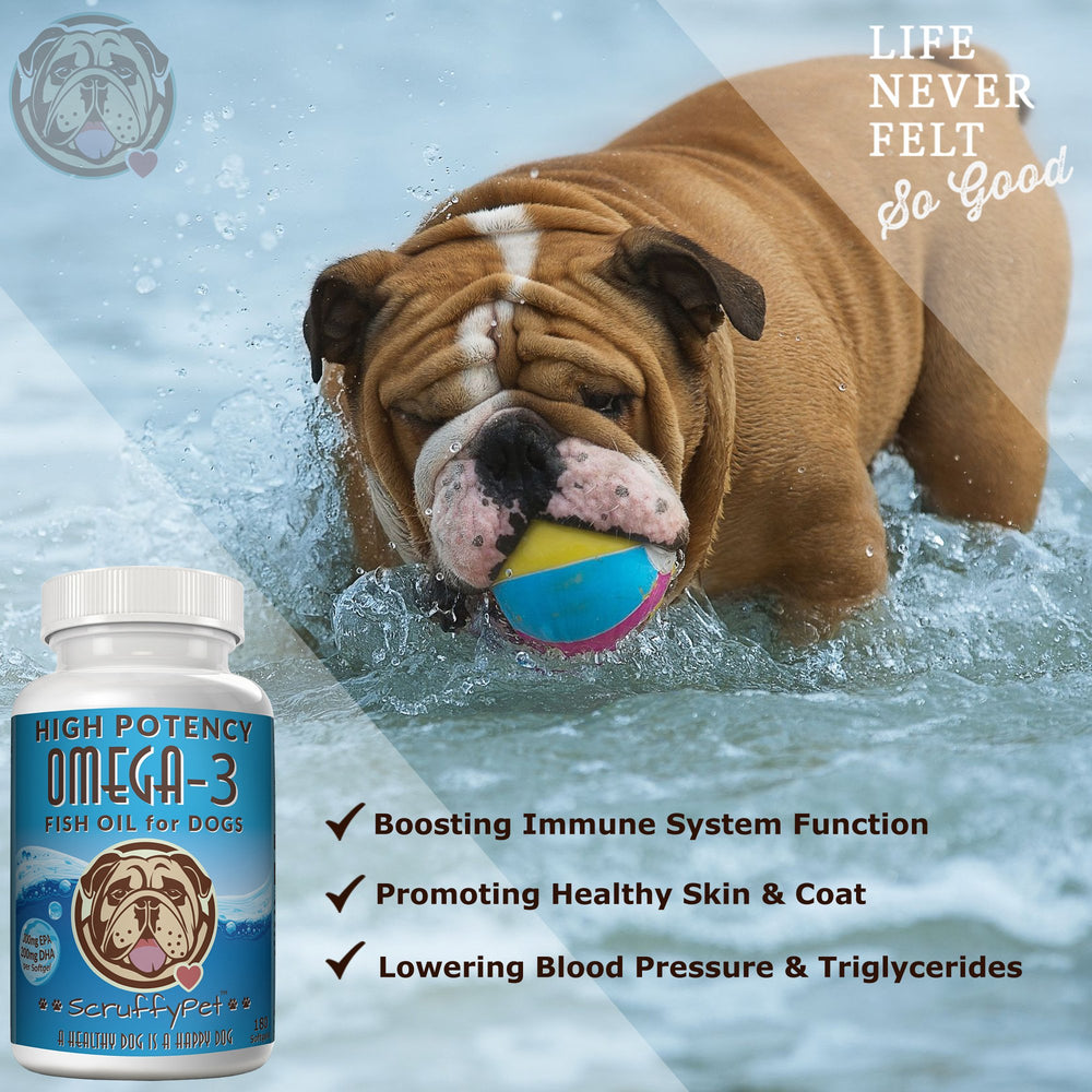 Puppy-friendly image hinting growth support from ScruffyPet Omega-3