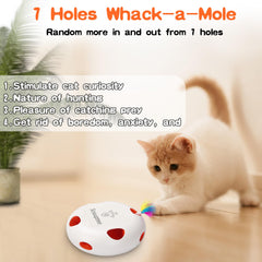 Scsuupoee cat toys one-key-start easy setup for quick daily play sessions