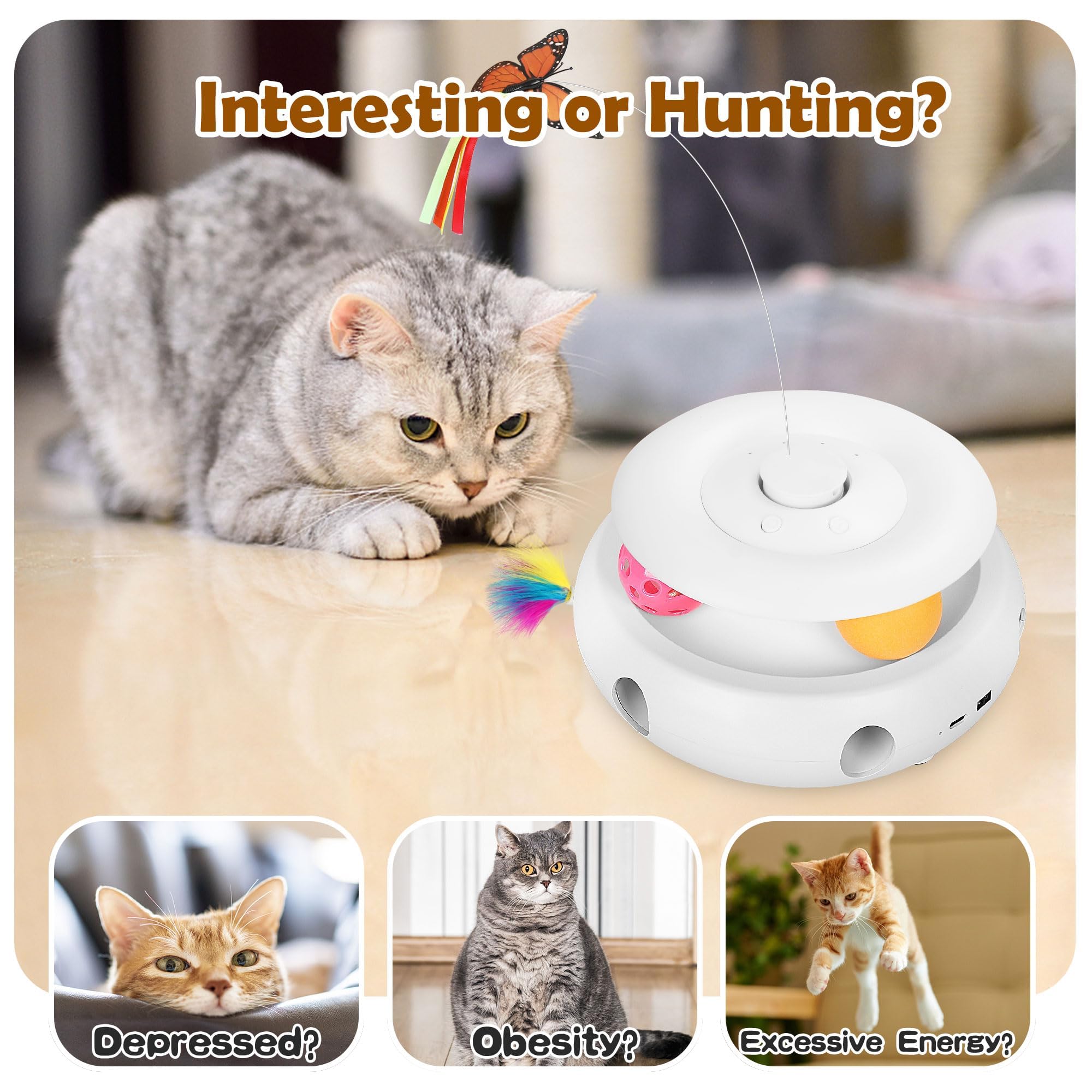 Scsuupoee feather and track balls in movement, stimulating hunting-like play indoors.