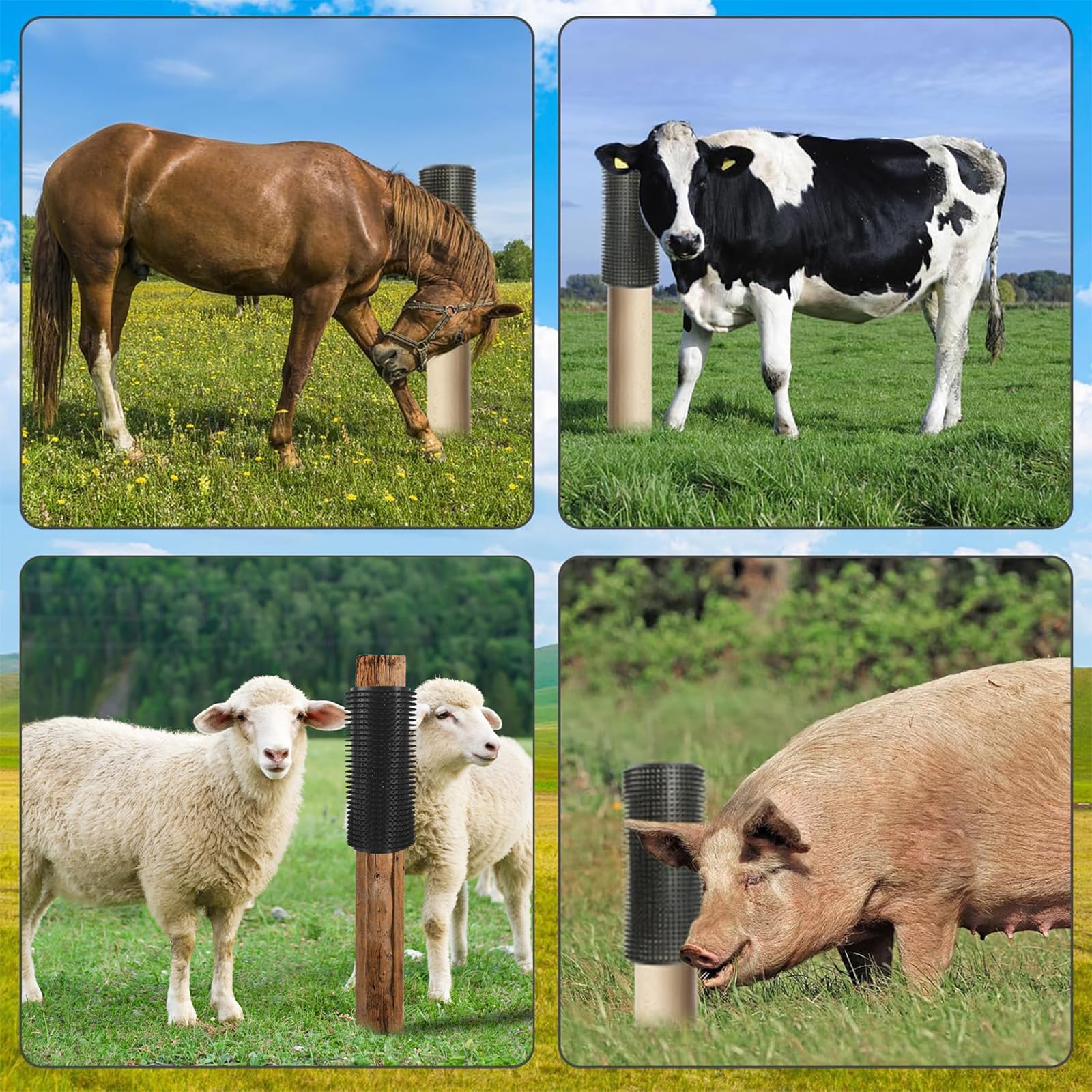 SCyiqifa cross-animal use, ideal for horses, goats, and dogs.