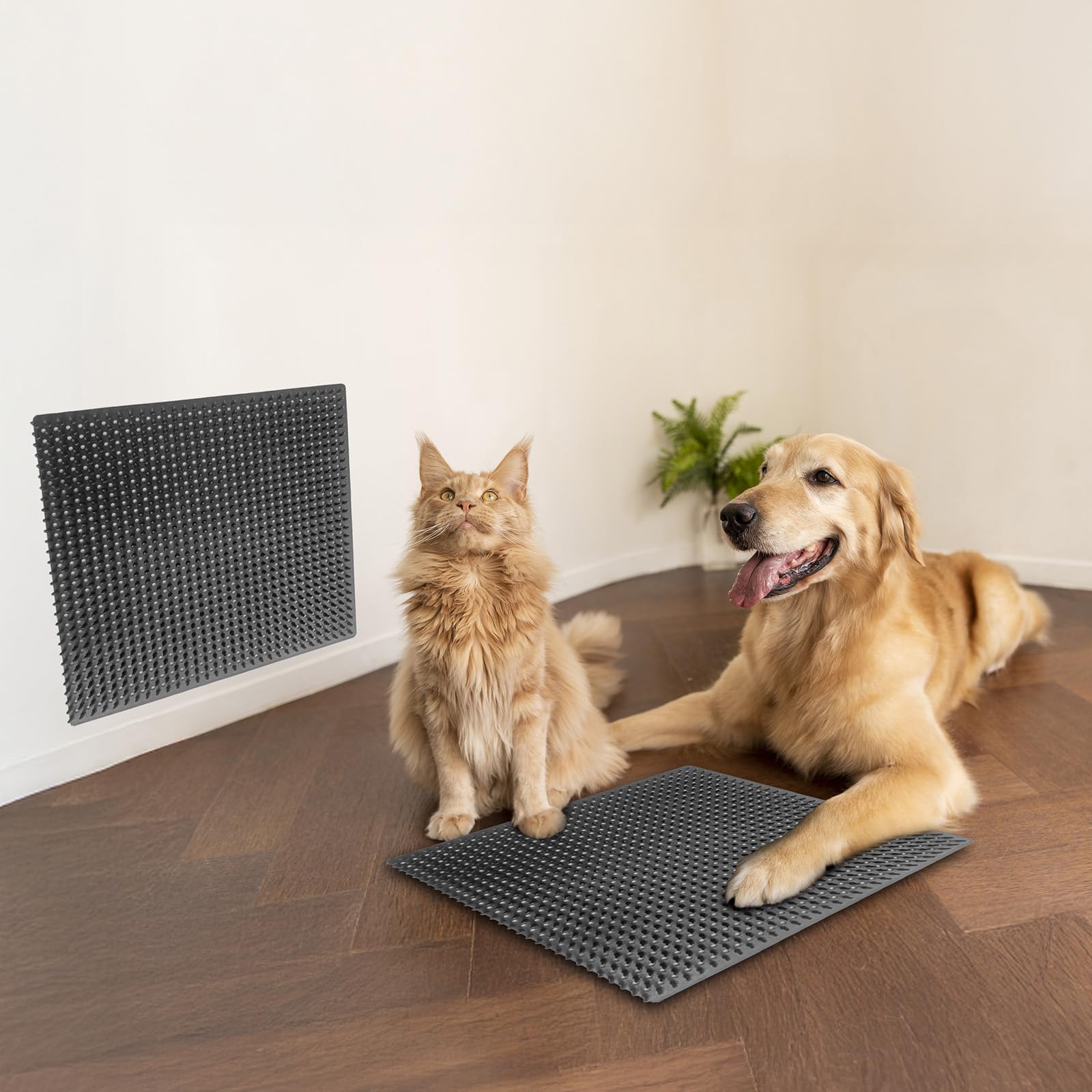 Product dimension details: 14.2 by 11.8 inches for ample scratching space.