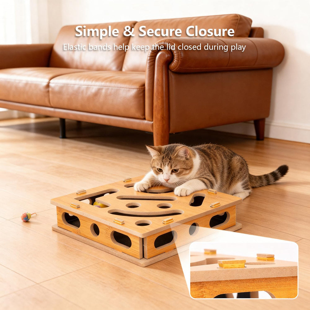 SDALU furniture-friendly design supports responsible clawing habits.