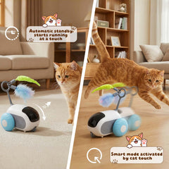 SDWUBQ cat toy features a beep alert for guidance.