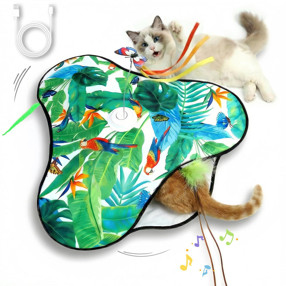 SDWUBQ interactive toy with moving feathers for active multi-cat play.
