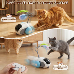 SDWUBQ toy moves lifelike prey to stimulate hunting.