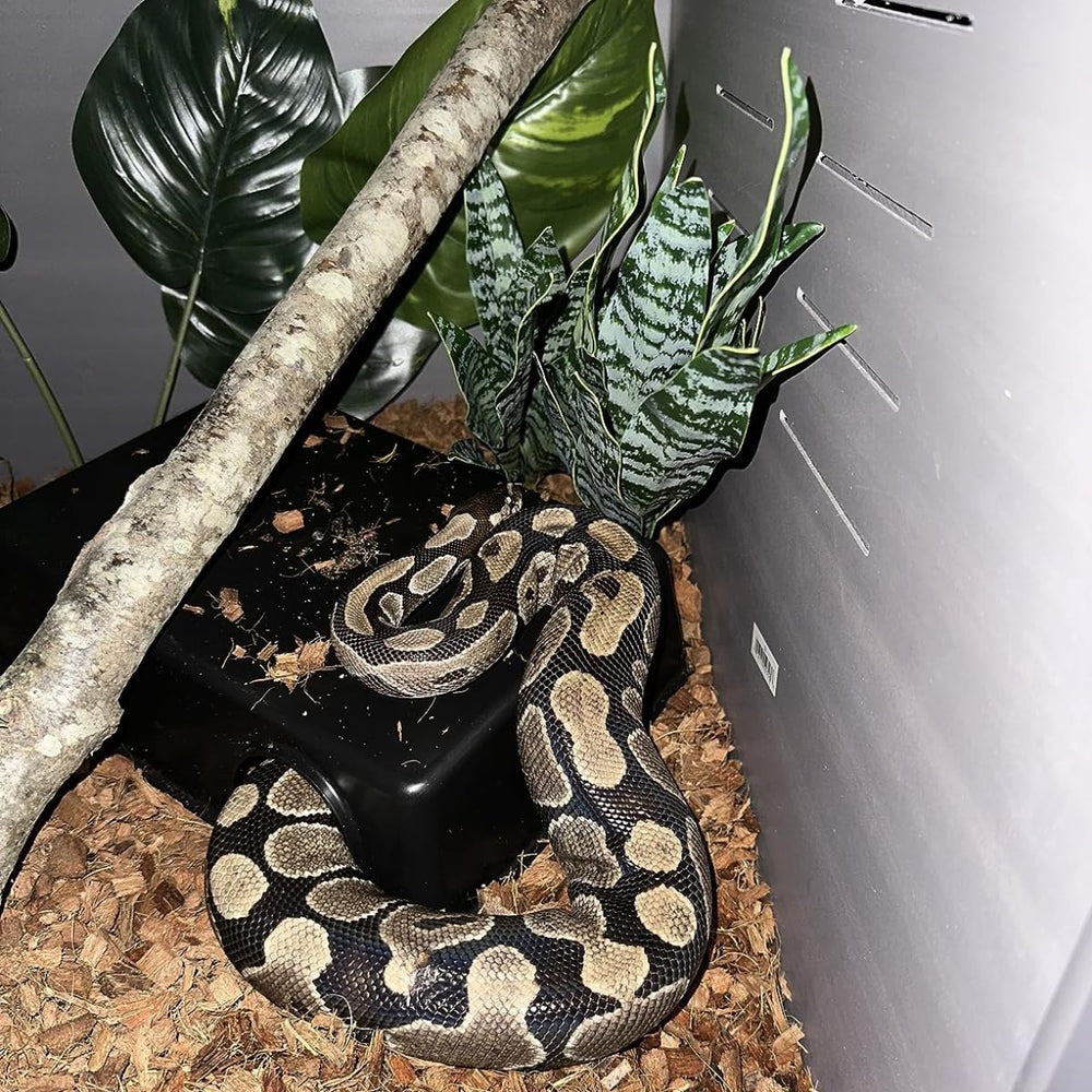 SDZGQPET Amypet reptile hide easy-to-clean surface supports quick maintenance.