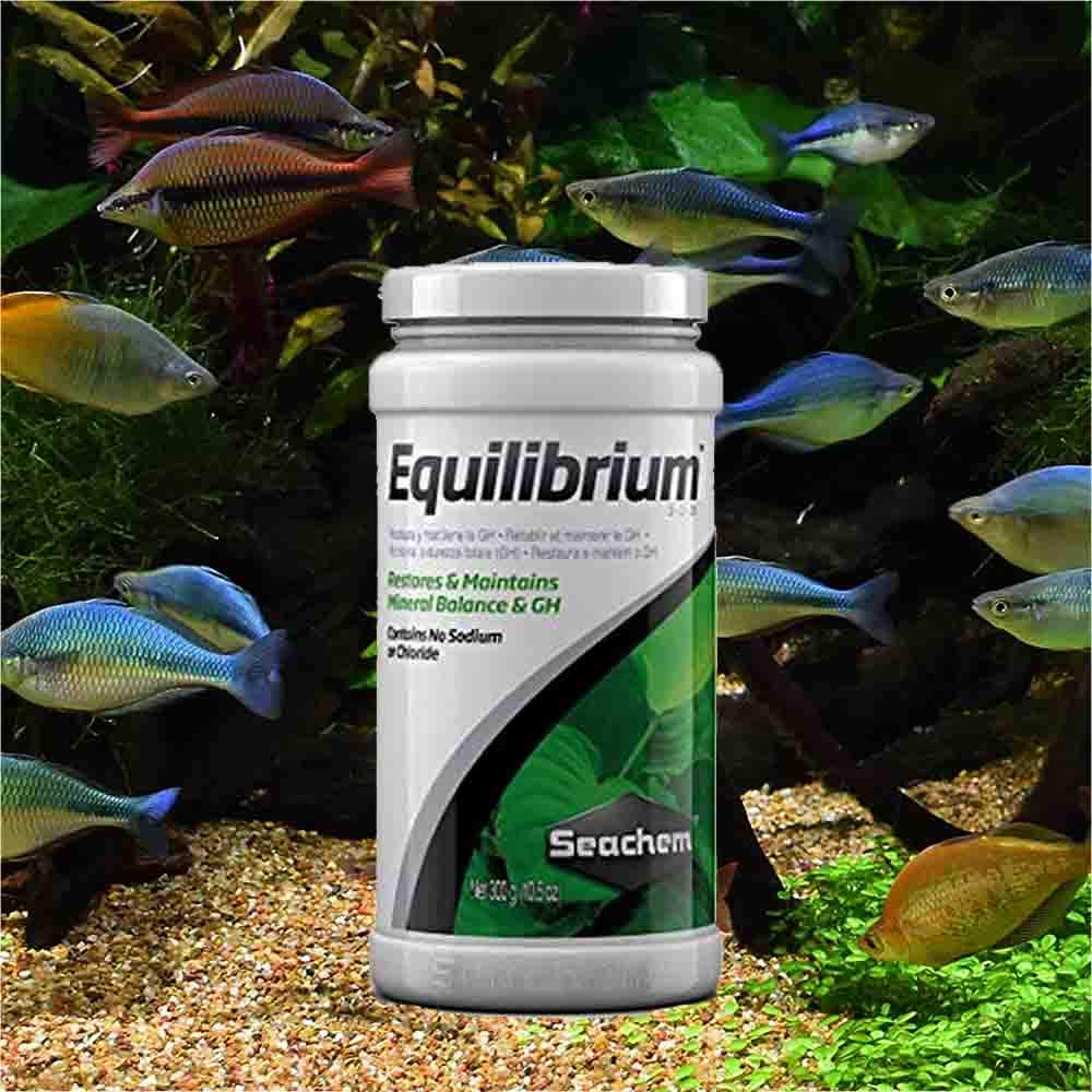 Seachem Equilibrium bottle front showing its label and packaging.
