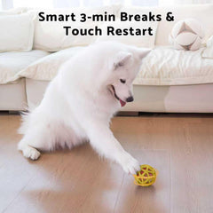 Seagi USB-rechargeable dog toy for long play sessions
