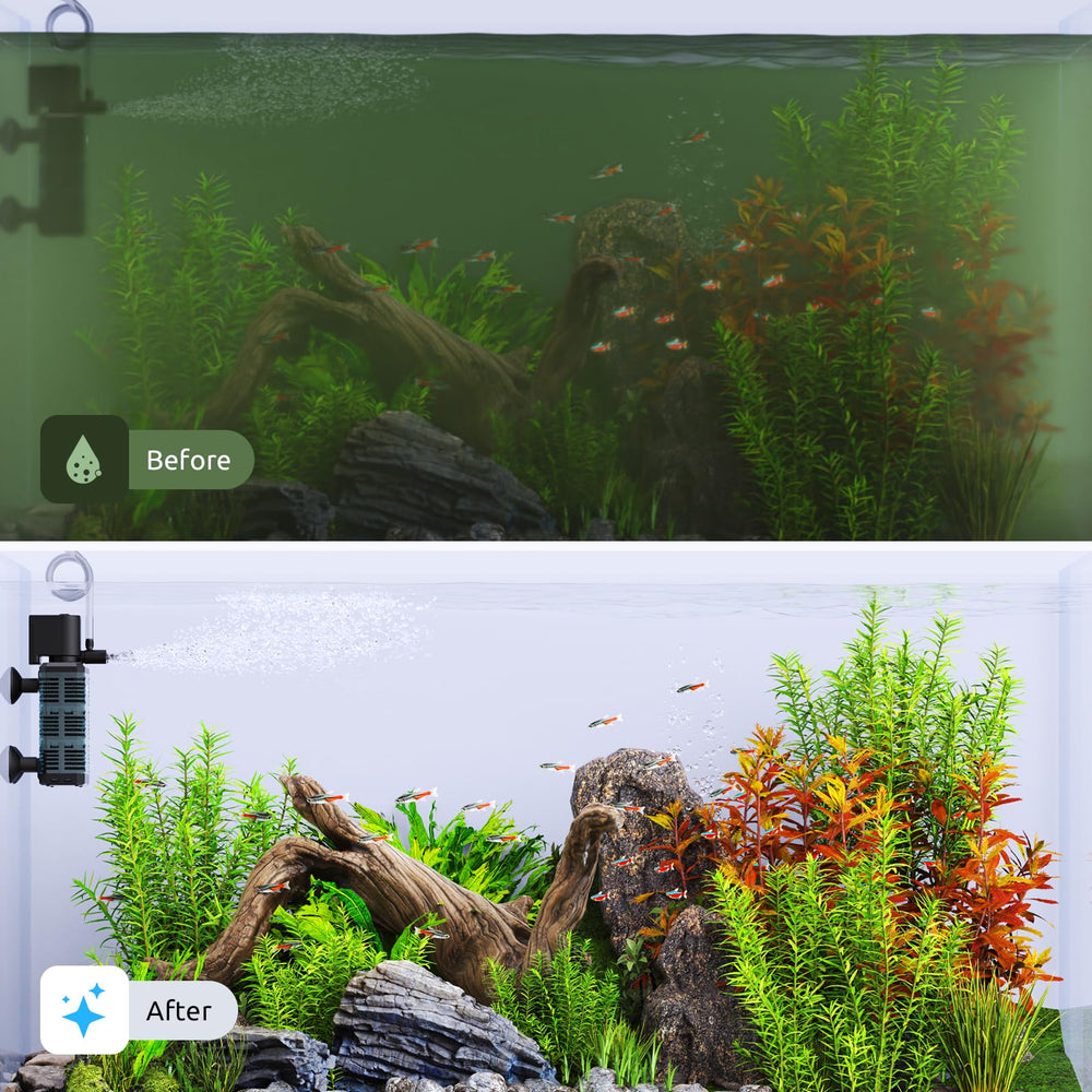 SEAOURA 100 GPH flow suits 5-15 gallon tanks efficiently.
