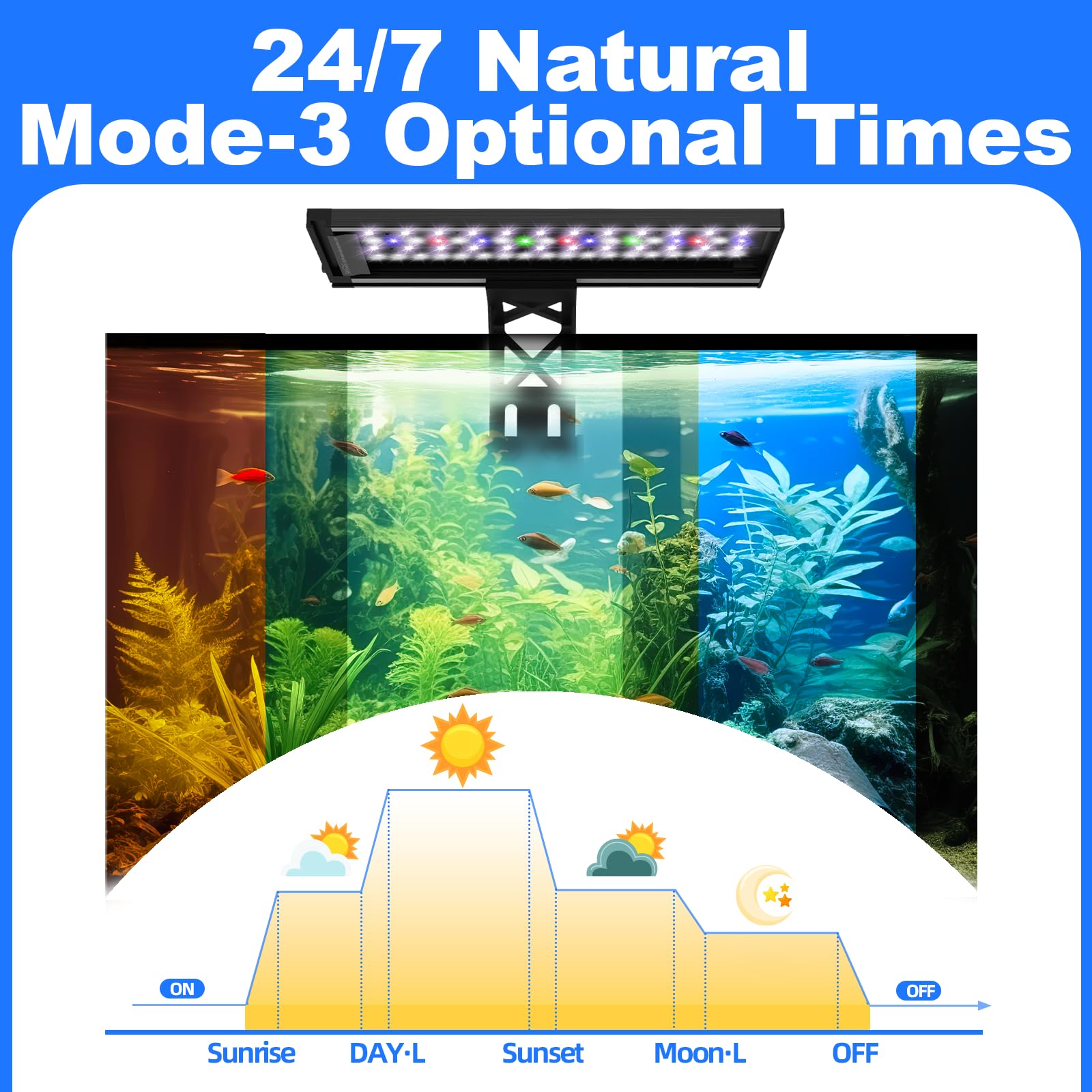 SEAOURA light with timer function for reliable daily scheduling