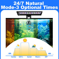 SEAOURA light with timer function for reliable daily scheduling