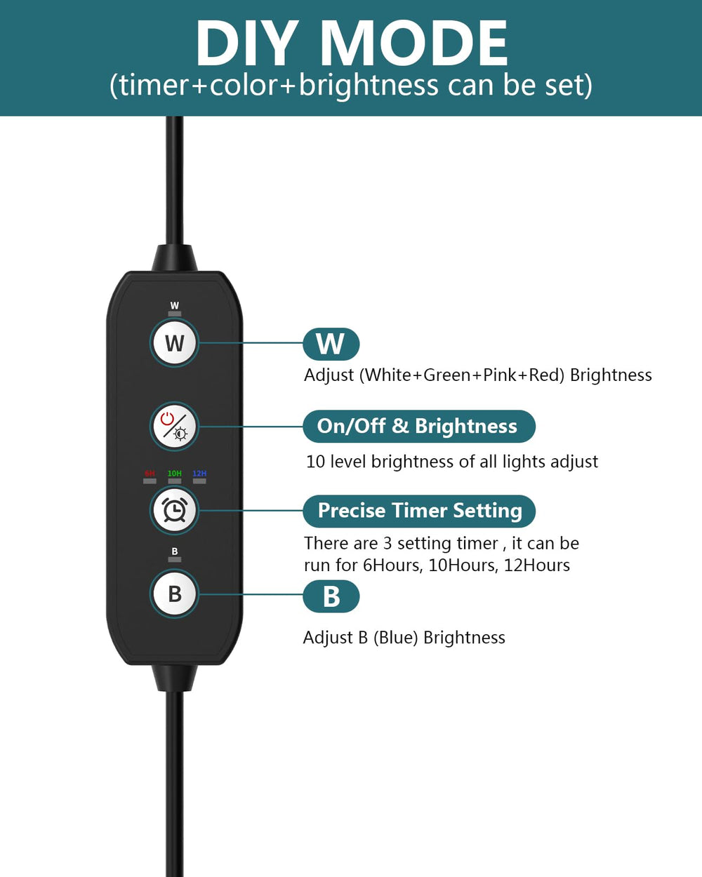 SEAOURA extendable brackets installed for secure tank compatibility.